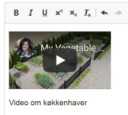 Video i editoren
